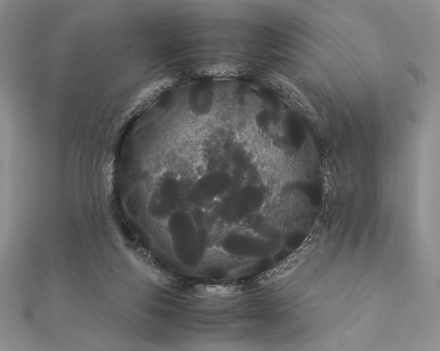 X0000112870163200909041628