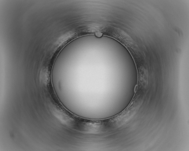 X0000112870164200909041628