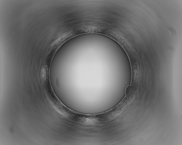 X0000112870165200909041628