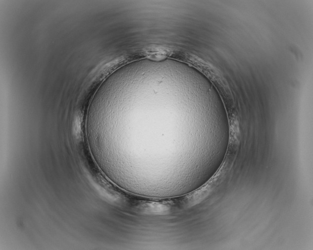 X0000112870166200909041628