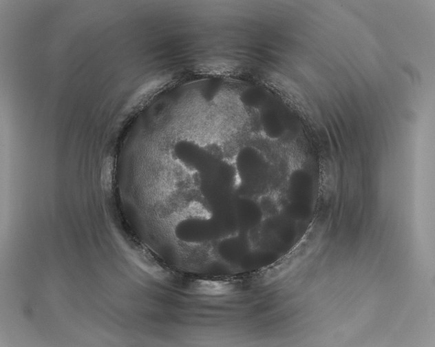 X0000112870167200909041628