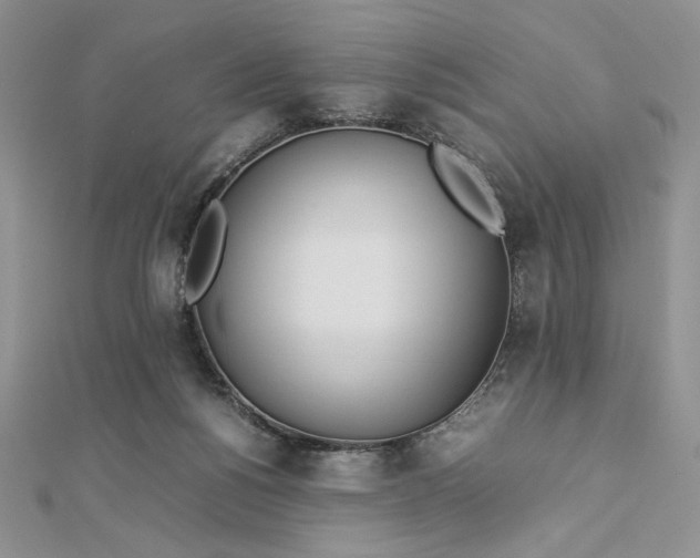 X0000112870168200909041628