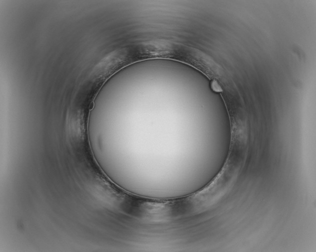 X0000112870170200909041628