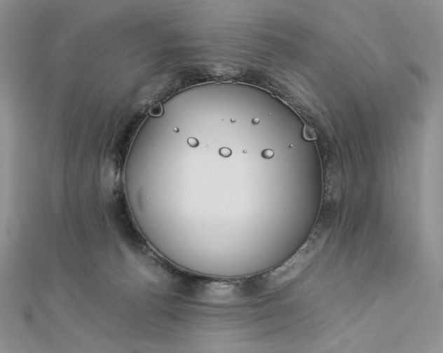 X0000112870176200909041628