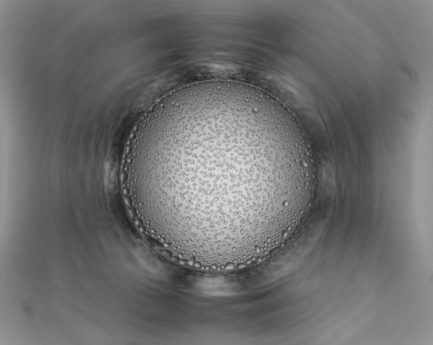 X0000112870177200909041628