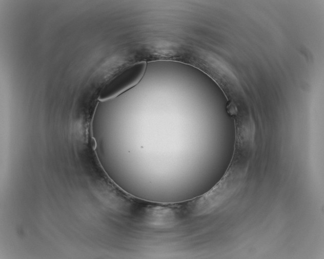 X0000112870180200909041628