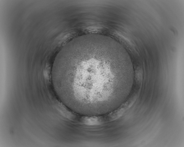 X0000112870181200909041628