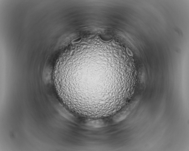 X0000112870185200909041628