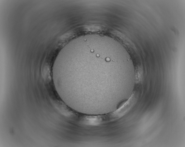 X0000112870187200909041628