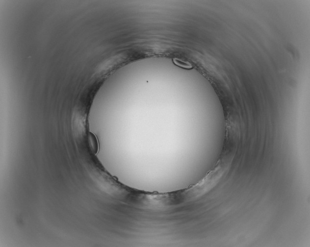 X0000112870188200909041628