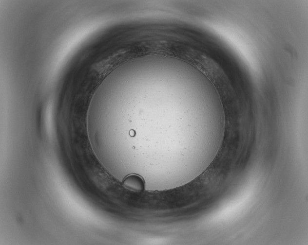 X0000112870189200909041628