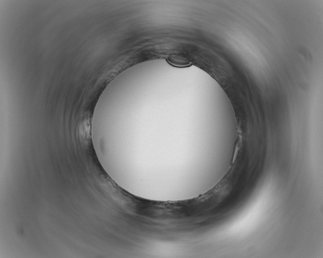 X0000112870190200909041628