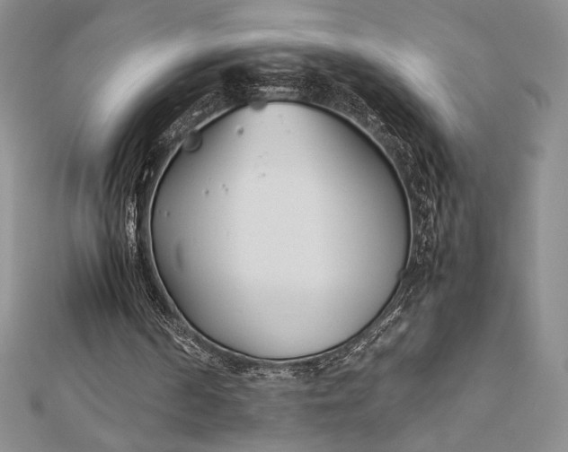 X0000112870194200909041628