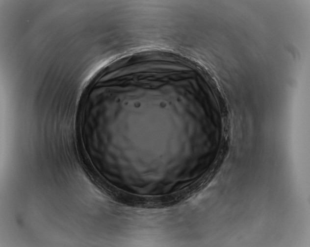 X0000112870196200909041628