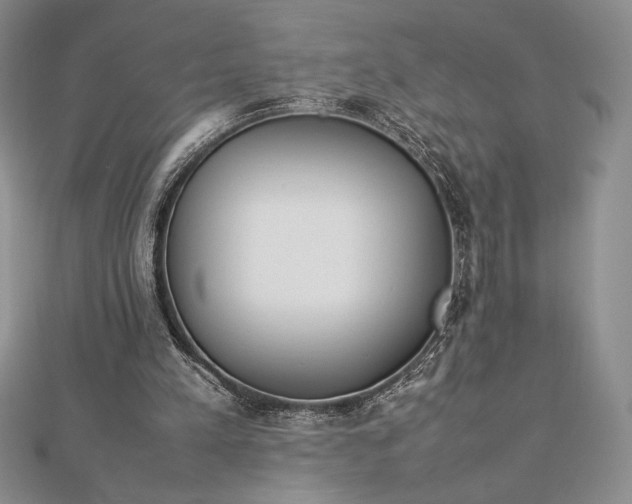 X0000112870197200909041628