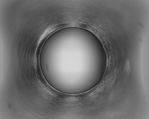 X0000112870198200909041628