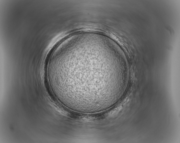 X0000112870199200909041628