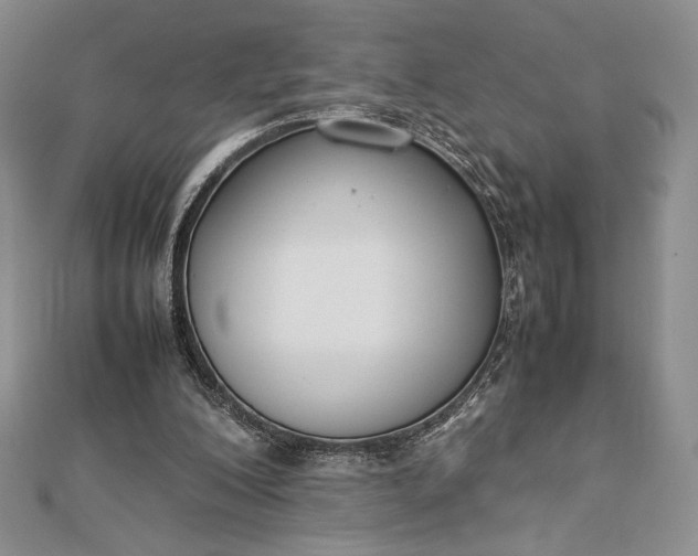 X0000112870200200909041628