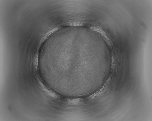 X0000112870202200909041628