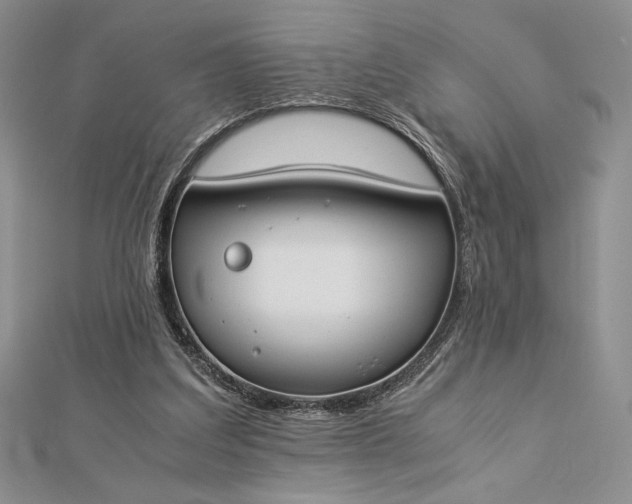 X0000112870203200909041628