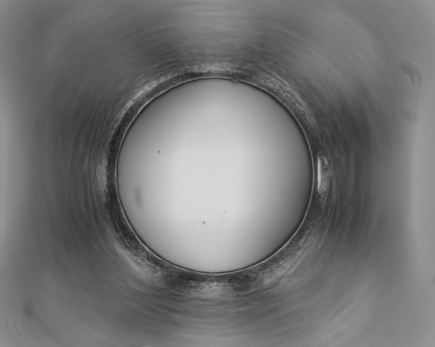 X0000112870204200909041628