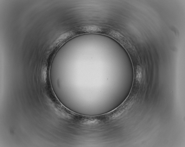 X0000112870206200909041628