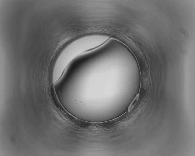 X0000112870207200909041628