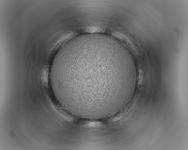 X0000112870210200909041628