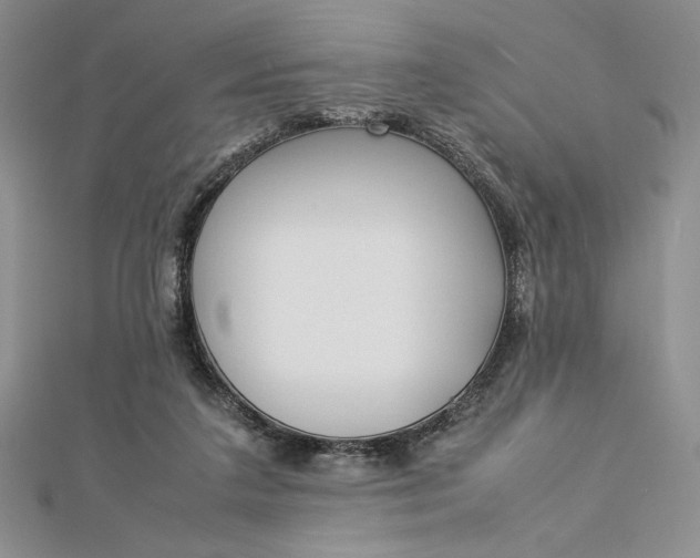 X0000112870211200909041628