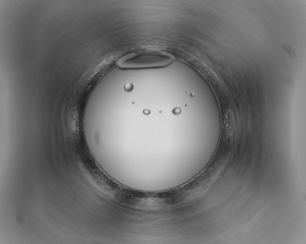 X0000112870212200909041628