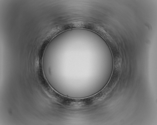 X0000112870213200909041628