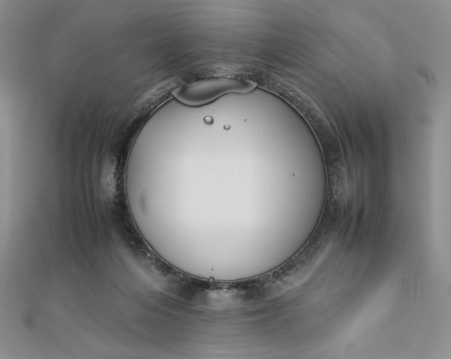 X0000112870216200909041628