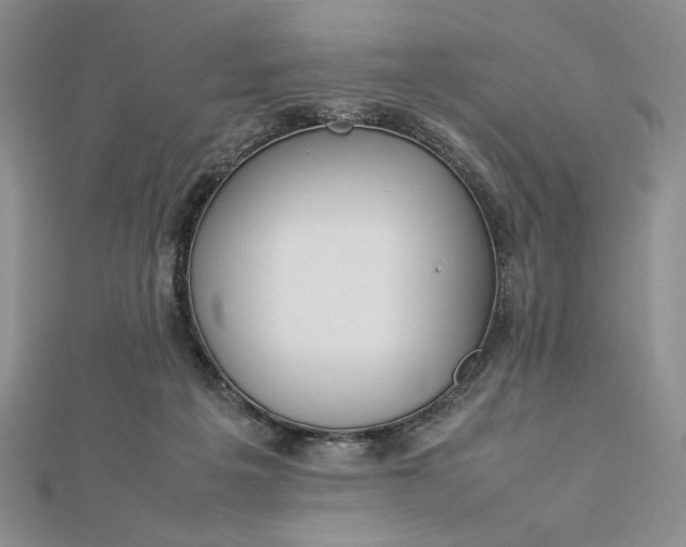 X0000112870217200909041627