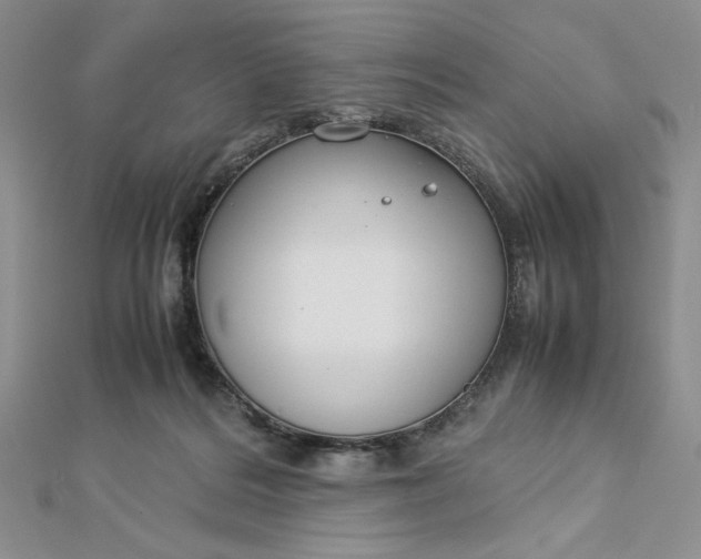 X0000112870220200909041627