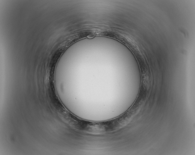 X0000112870221200909041627