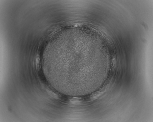 X0000112870222200909041627