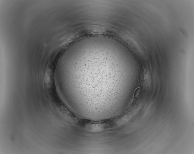 X0000112870228200909041627