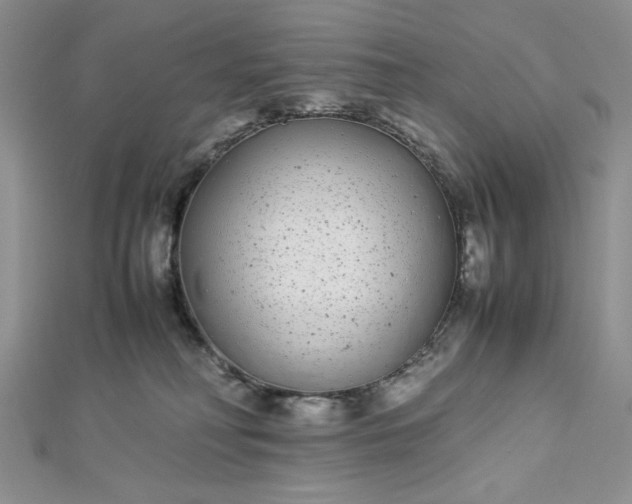 X0000112870230200909041627