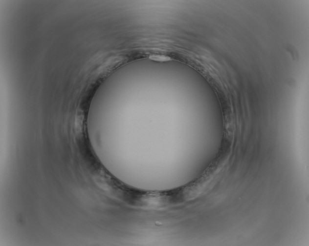 X0000112870231200909041627