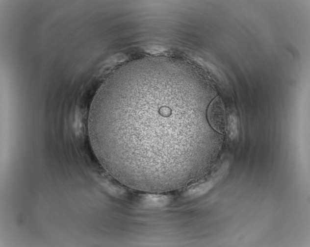 X0000112870234200909041627