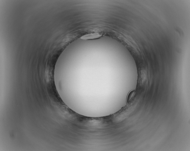 X0000112870236200909041627