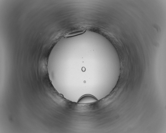 X0000112870240200909041627