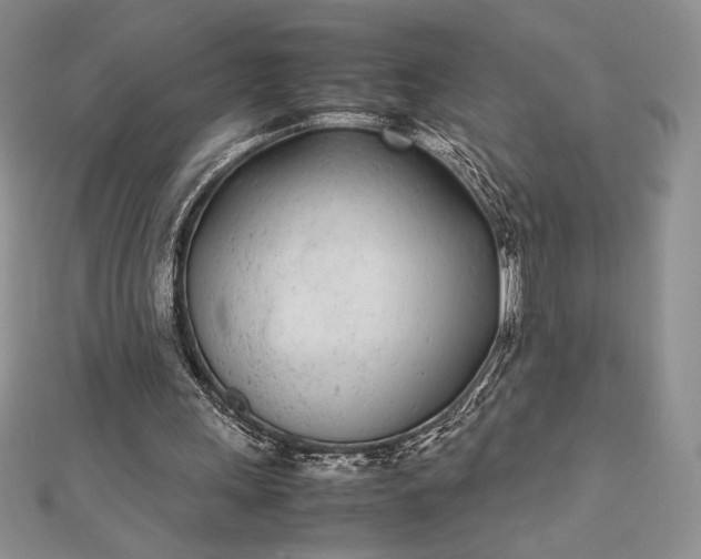 X0000112870243200909041627