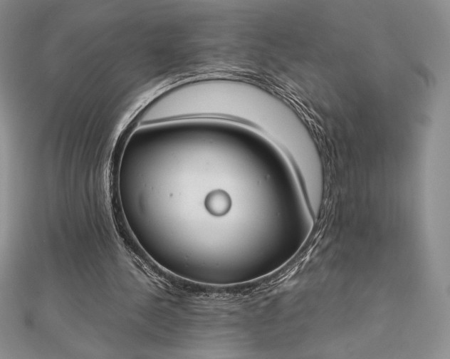 X0000112870244200909041627