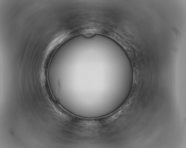 X0000112870245200909041627