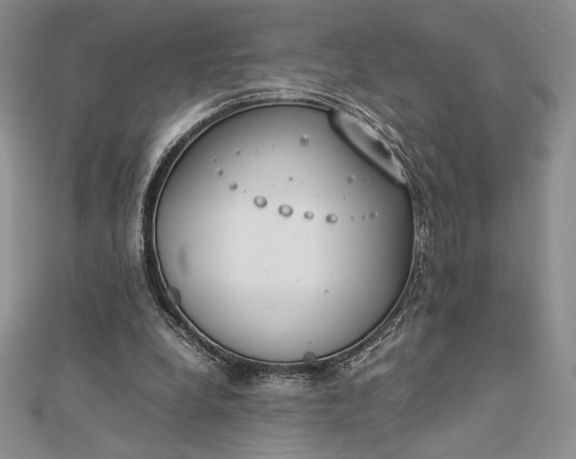 X0000112870248200909041627