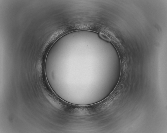 X0000112870250200909041627