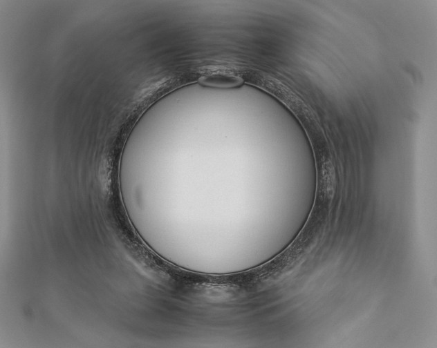 X0000112870255200909041627