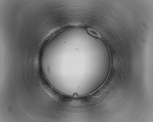 X0000112870256200909041627