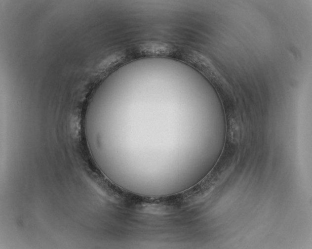 X0000112870259200909041627